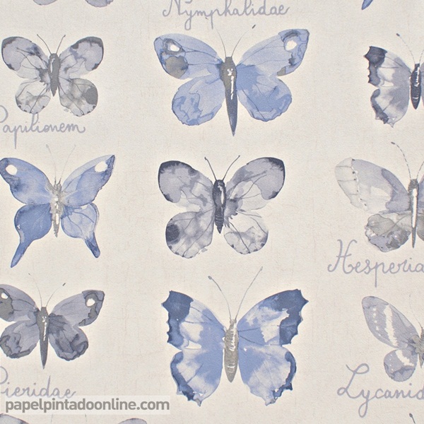 Papel Pintado Curiosity CRY_6547_60_19