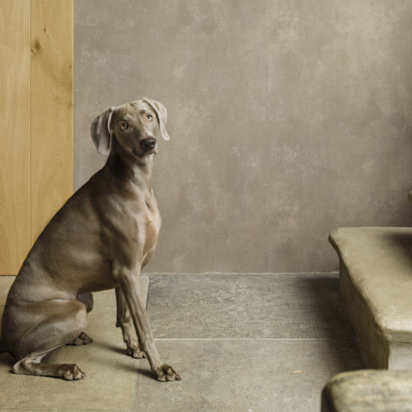 Interior decorado con Papel Pintado Essentially Yours 47555